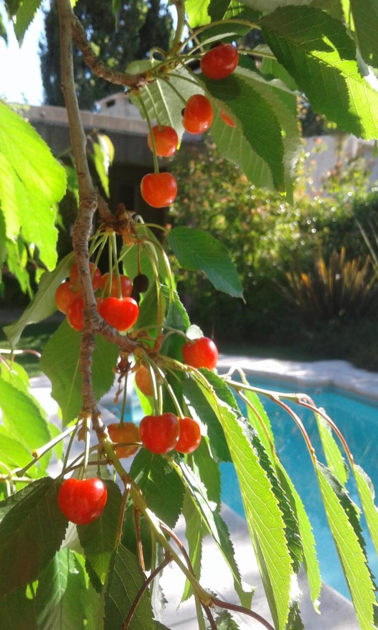Casa Los Cerezos En צ'קראס דה קוריה מראה חיצוני תמונה